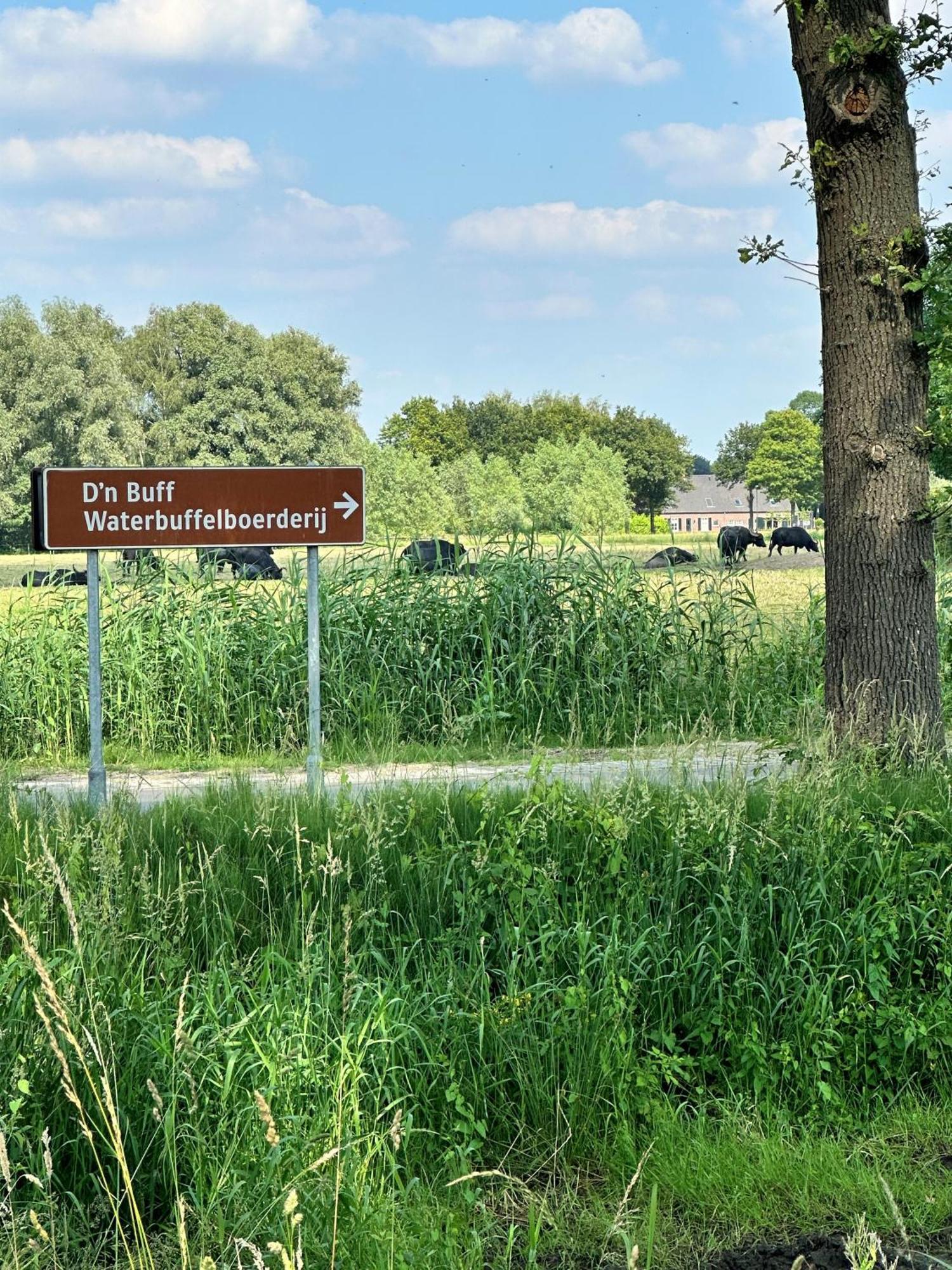Gasterij Dennenoord Hotel Boxtel
